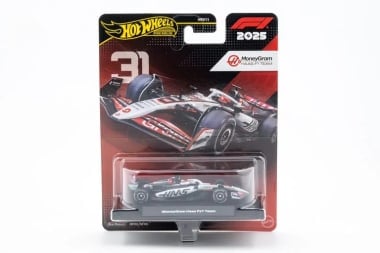 F1 2025 MoneyGram HAAS #31 Car